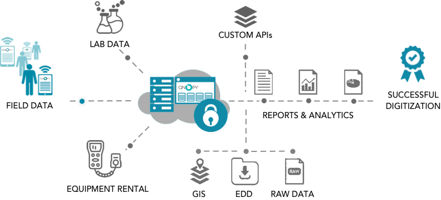 QNOPY platform